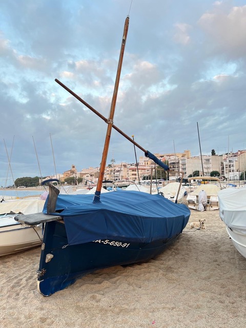 llaut Majoni calobra 312 en venta o ocasion